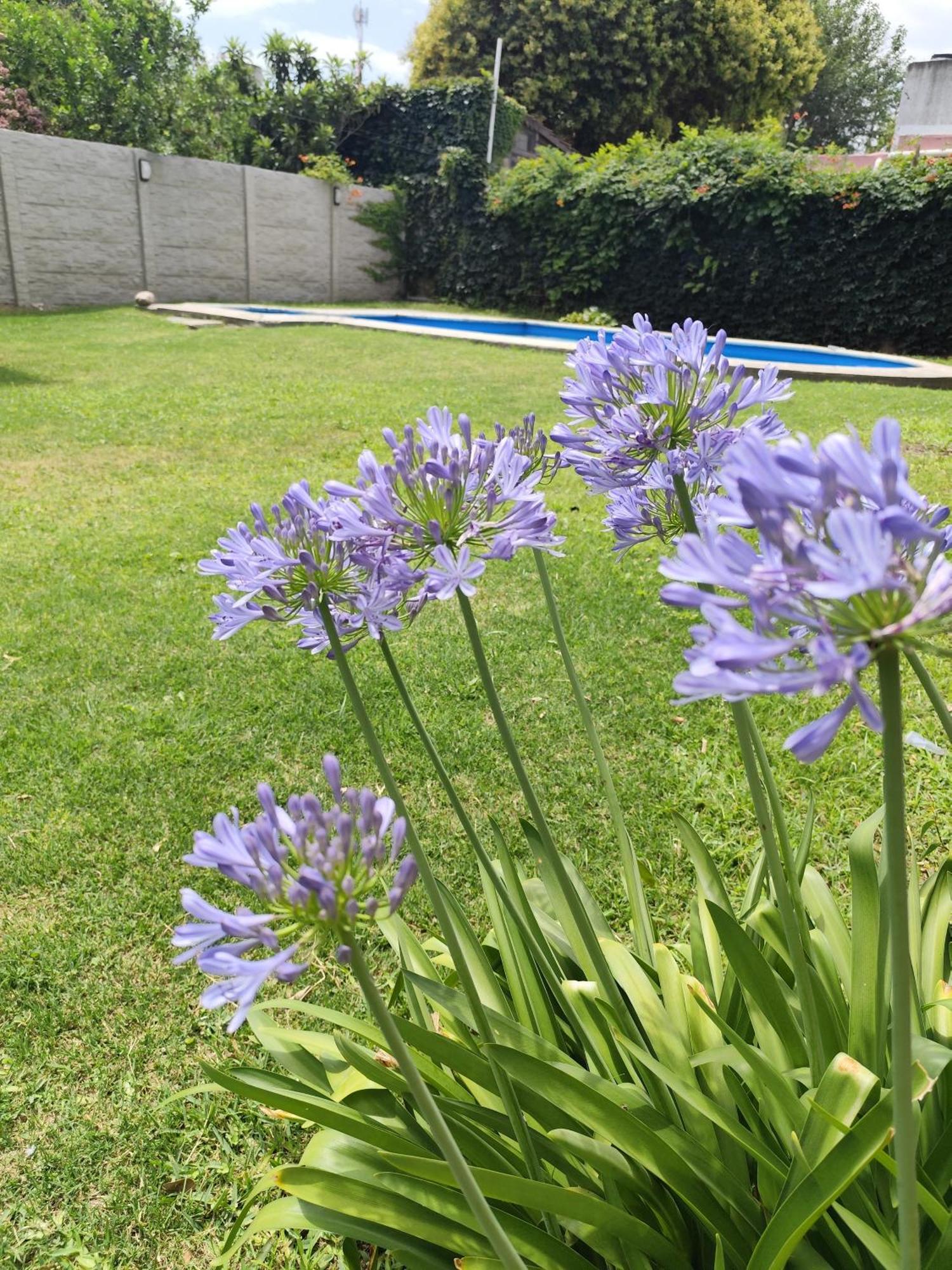 Casa Con Quincho Y Pileta